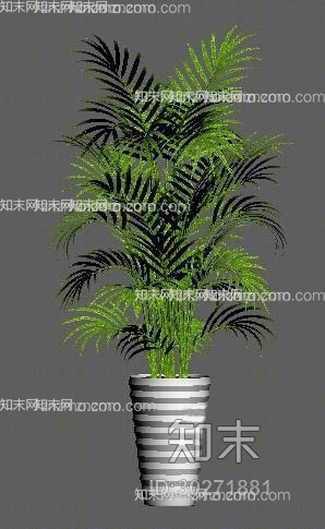 绿色盆栽3D模型下载【ID:30271881】