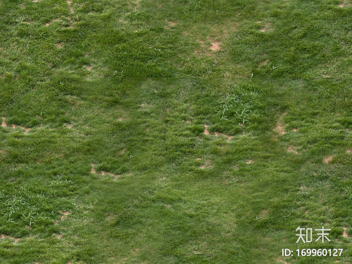 整理出来的鸟瞰树CG模型下载【ID:169960127】