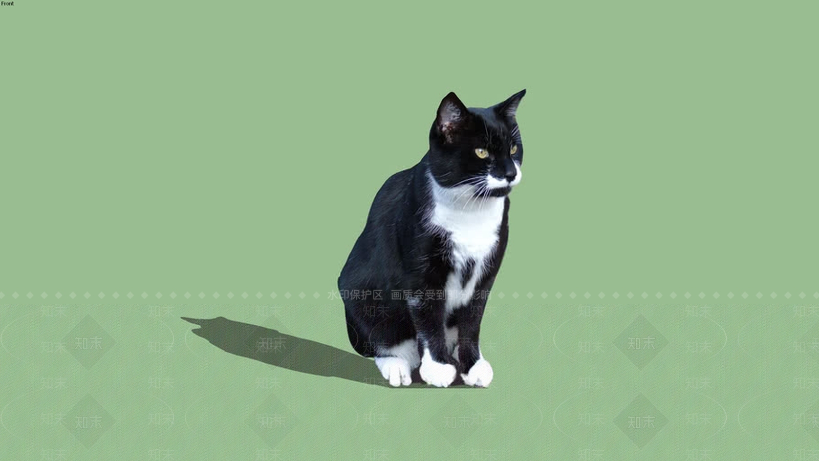 Cat-blackSU模型下载【ID:1162968528】