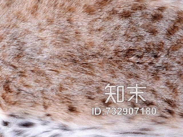 皮革-常用皮革贴图下载【ID:732907180】