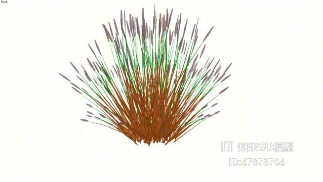草SU模型下载【ID:47678704】