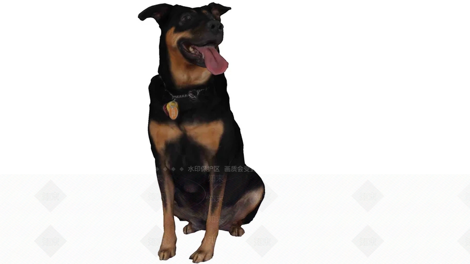 Perro罗威纳犬SU模型下载【ID:1162968504】