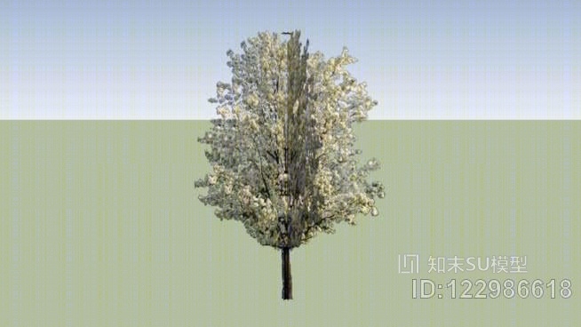 樱桃树SU模型下载【ID:122986618】