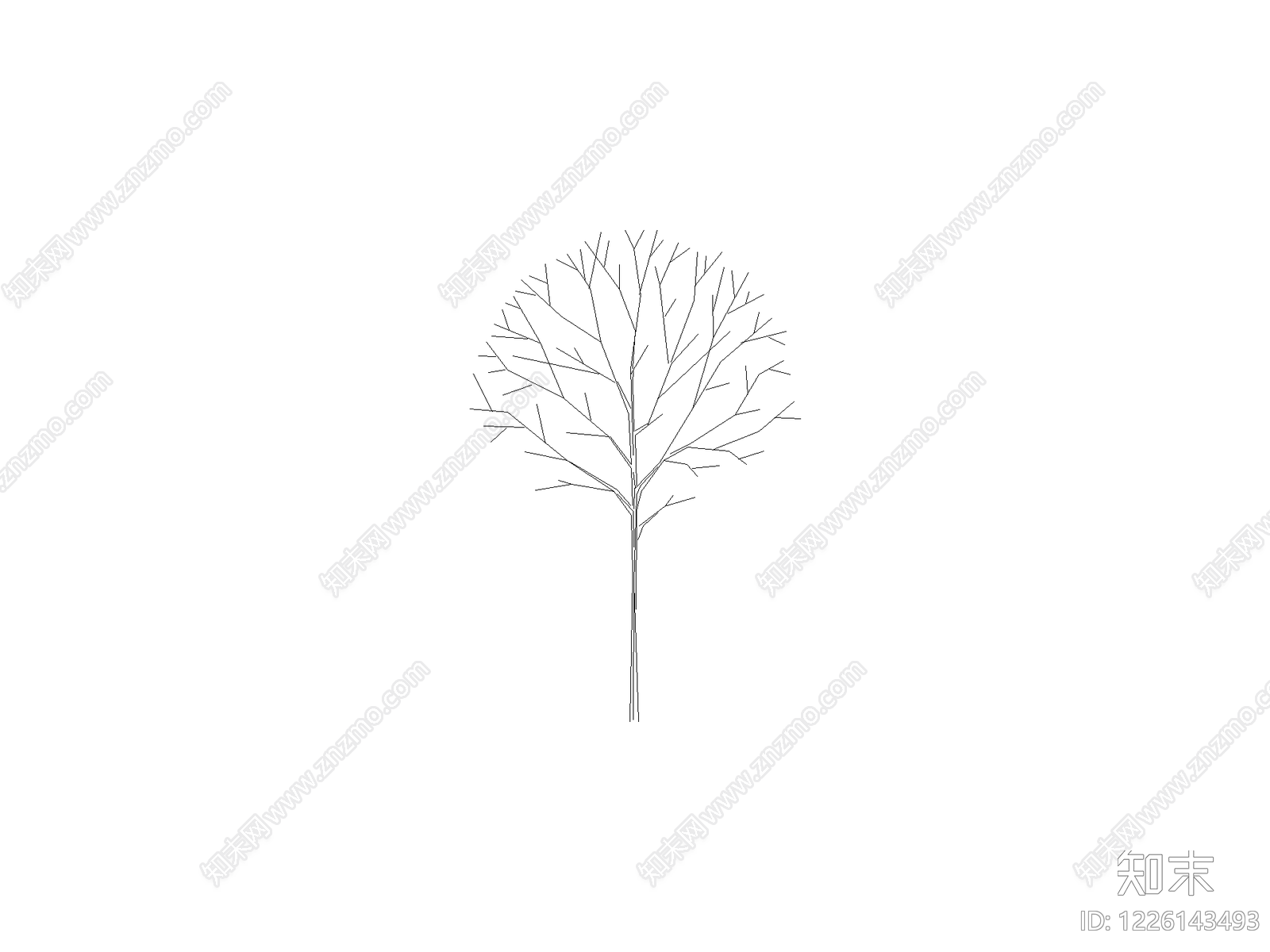 乔木种植cad施工图下载【ID:1226143493】