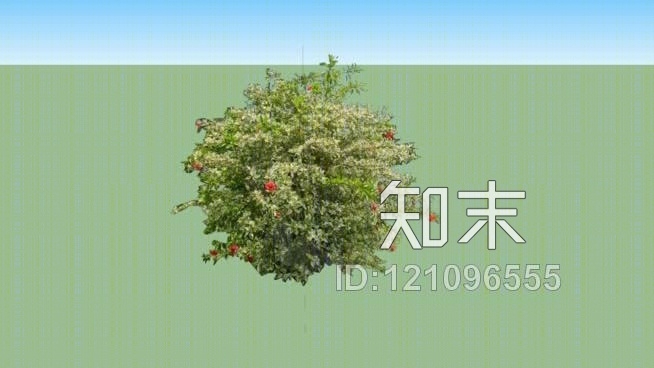 木槿罗萨SU模型下载【ID:121096555】