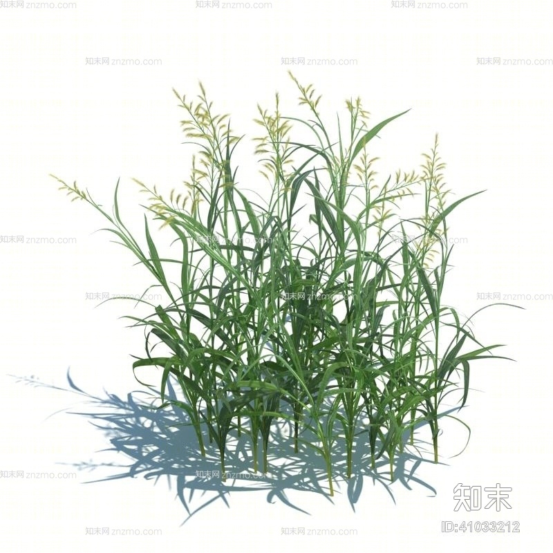 绿色草3D模型下载【ID:41033212】