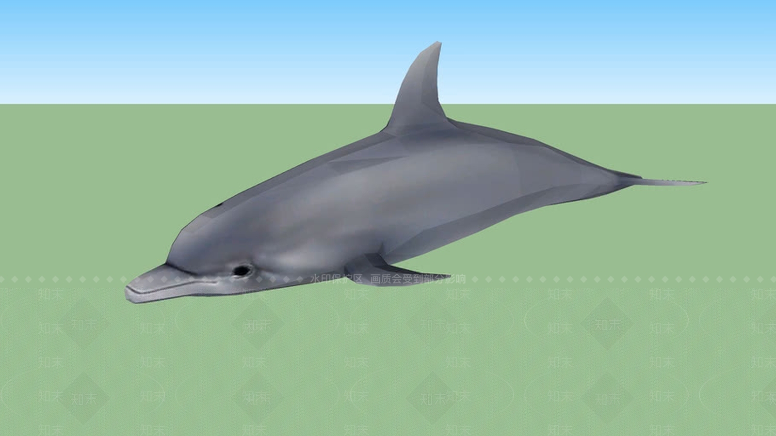 海豚SU模型下载【ID:1162355058】
