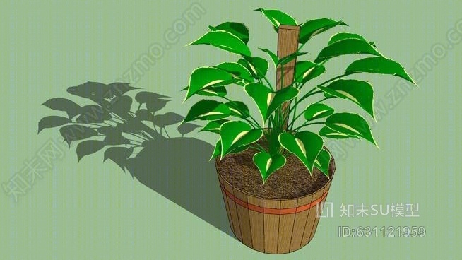 植物SU模型下载【ID:631121959】
