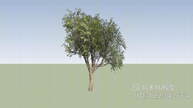 小树SU模型下载【ID:122342664】