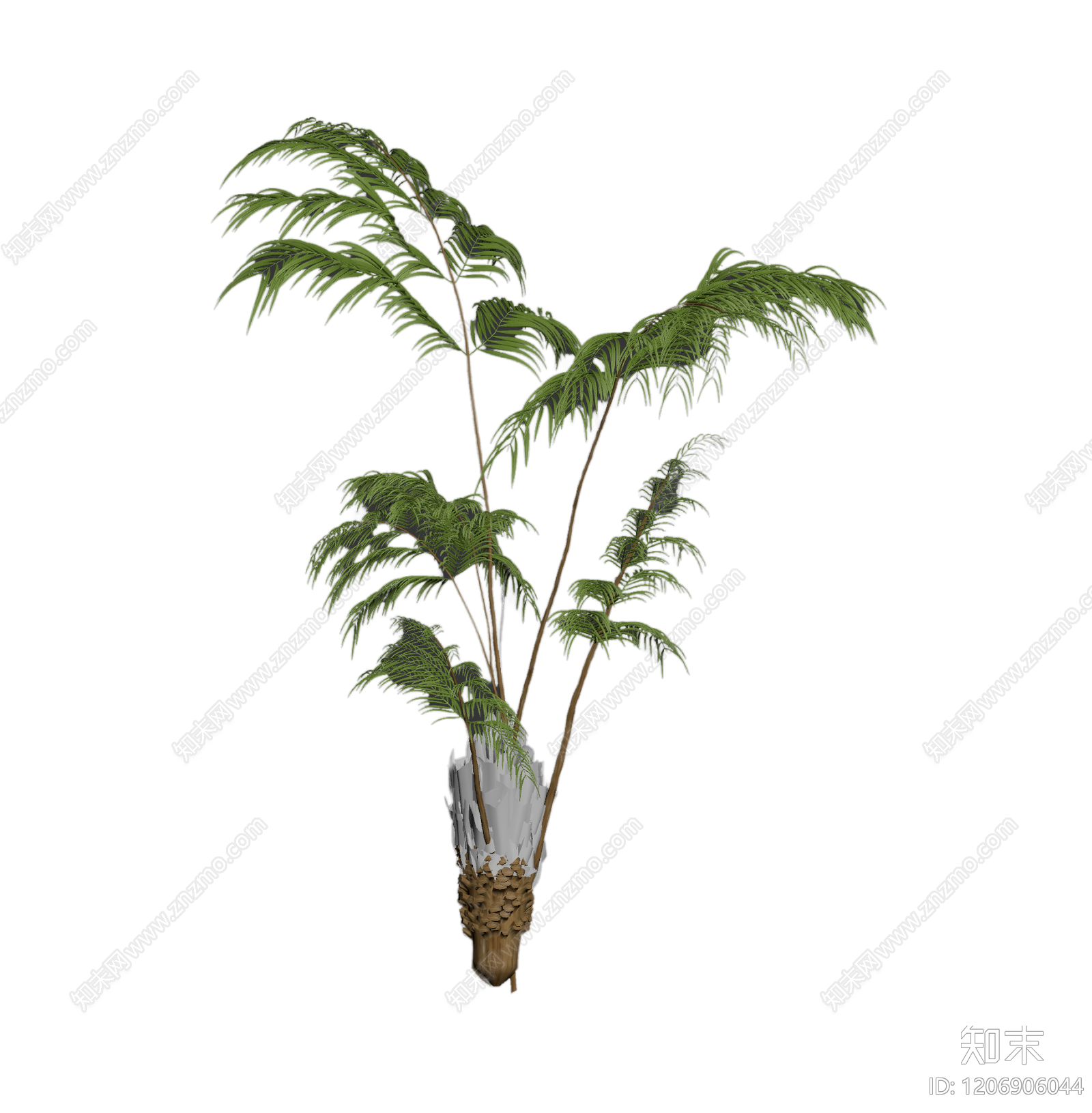盆栽蕨类植物3D模型下载【ID:1206906044】
