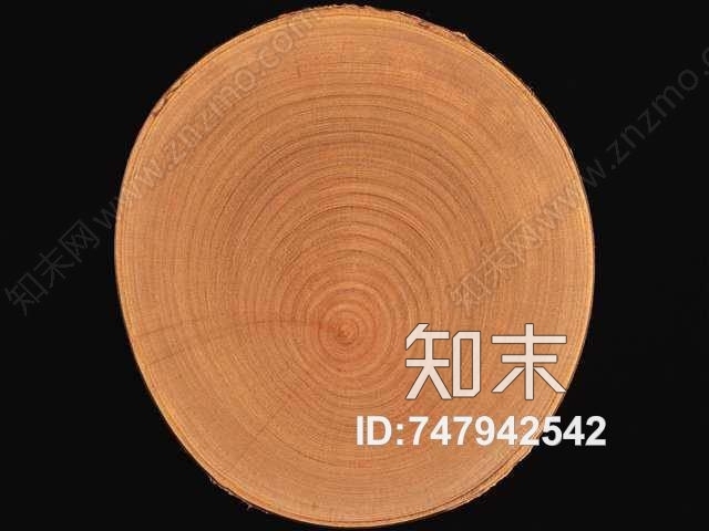 超清年轮木纹贴图下载【ID:747942542】