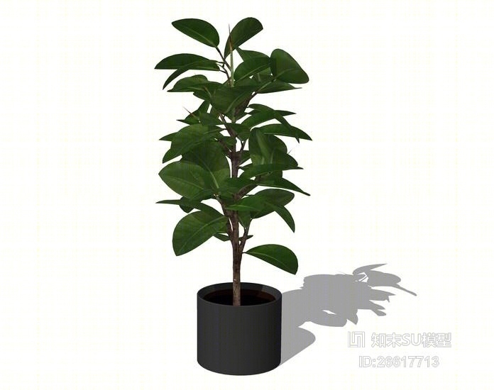 室内盆栽SU模型下载【ID:26617713】