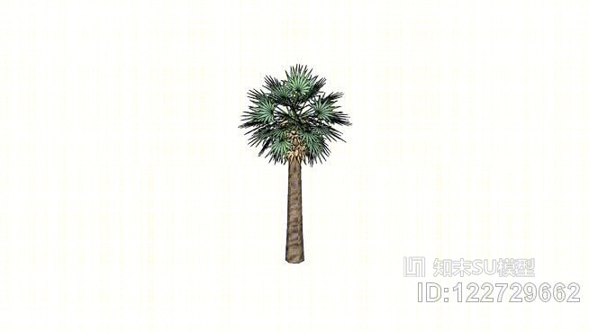 热带椰子树SU模型下载【ID:122729662】