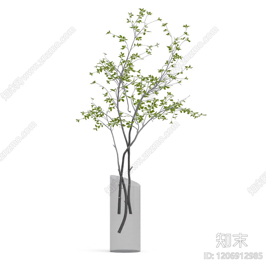 盆栽植物装饰3D模型下载【ID:1206912985】