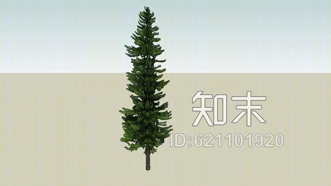 三维的松树SU模型下载【ID:621101920】