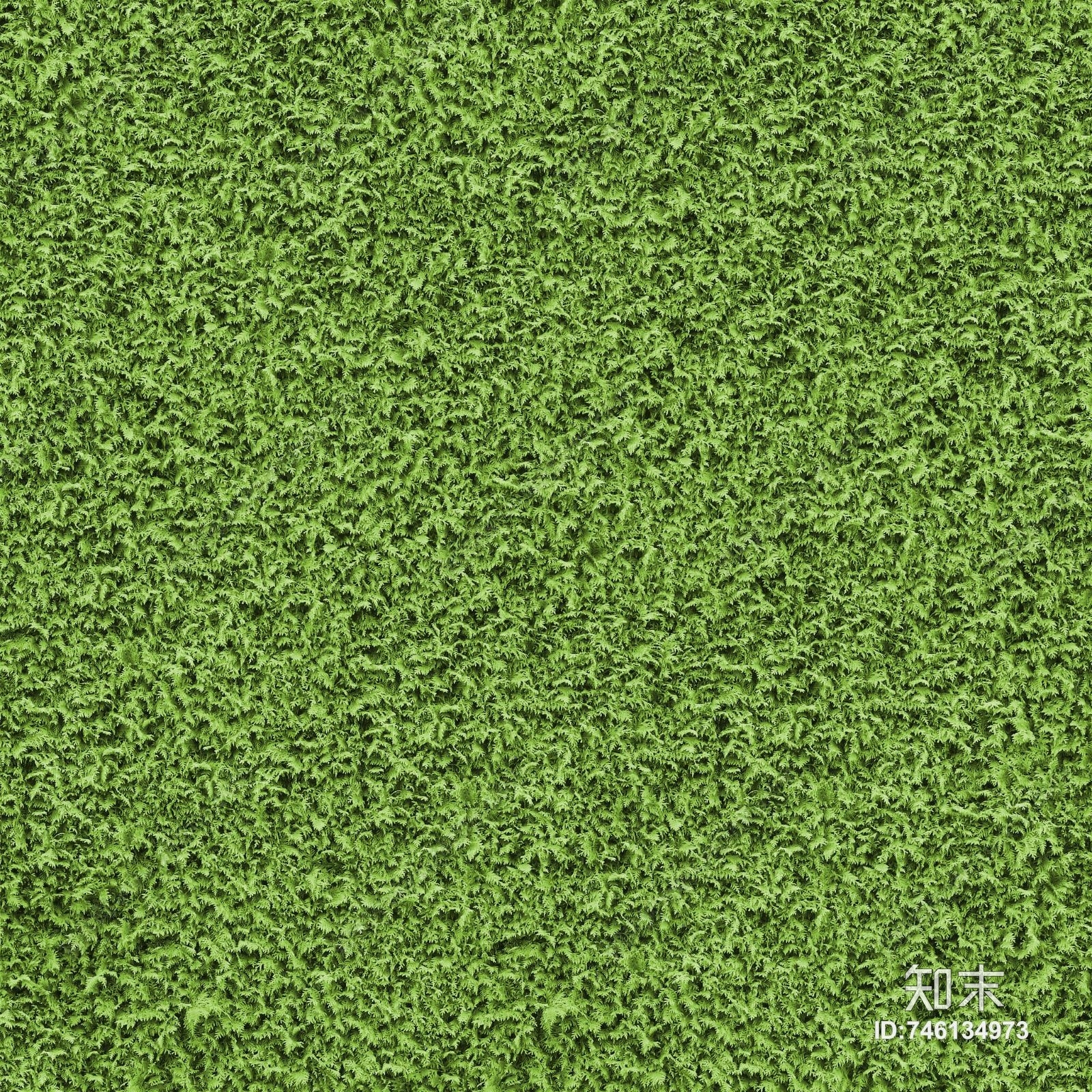 植物墙贴图下载【ID:746134973】