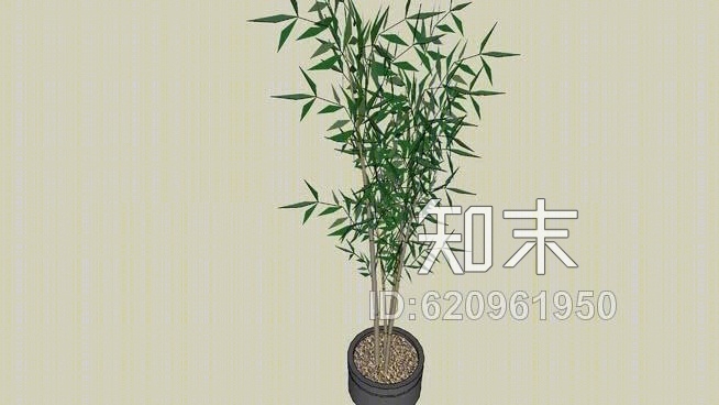 盆栽竹子SU模型下载【ID:620961950】