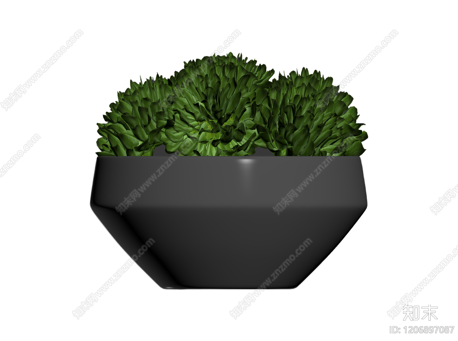 盆栽植物装饰3D模型下载【ID:1206897087】