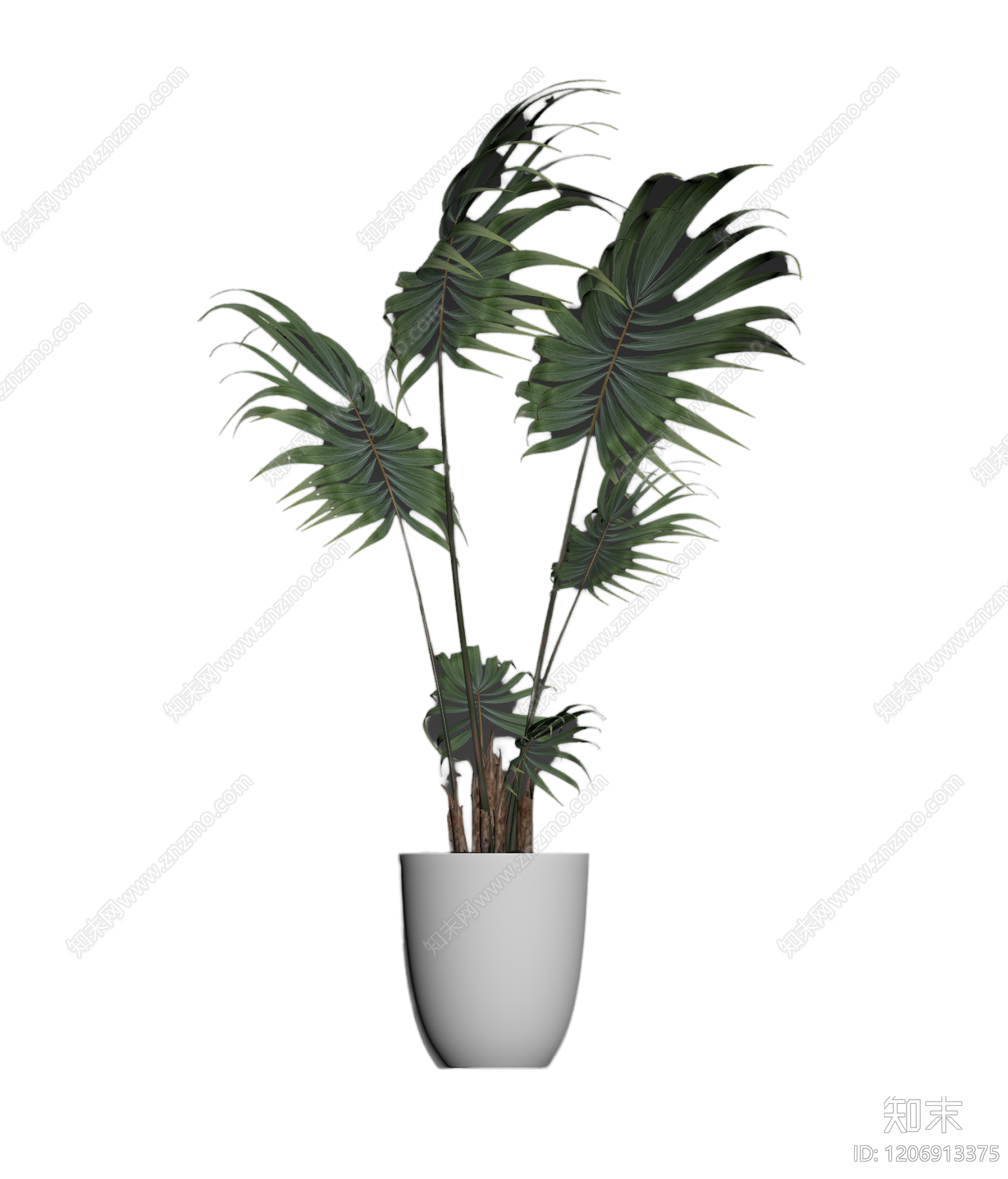 盆栽植物组合3D模型下载【ID:1206913375】