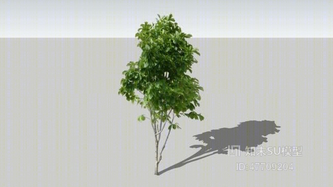 树SU模型下载【ID:47709204】