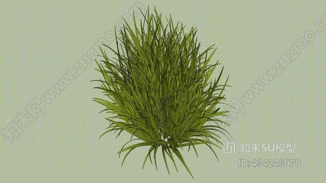 草SU模型下载【ID:434248070】