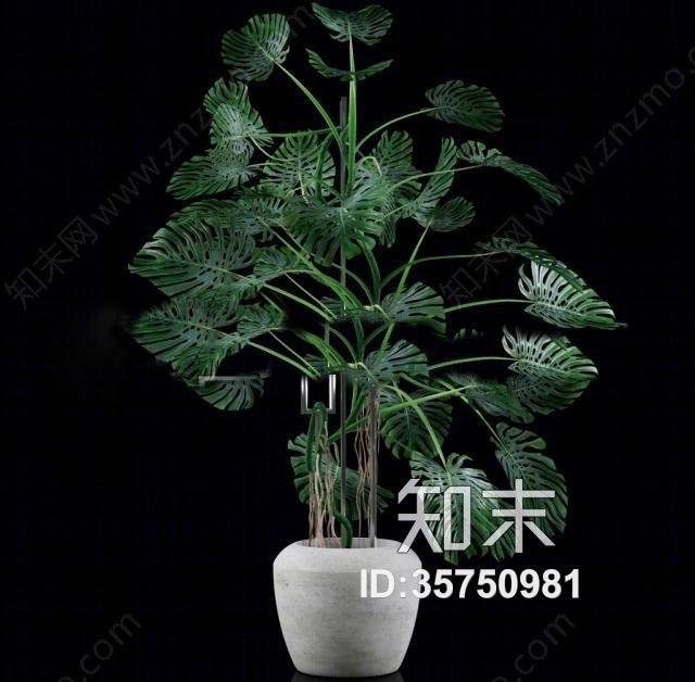 现代绿植盆栽3D模型下载【ID:35750981】