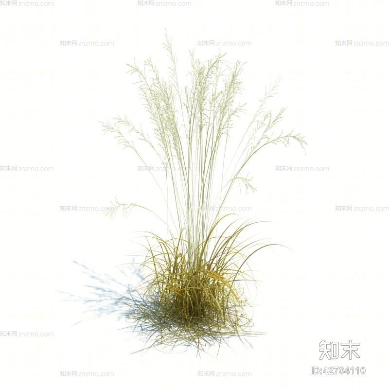 黄色草3D模型下载【ID:42704110】