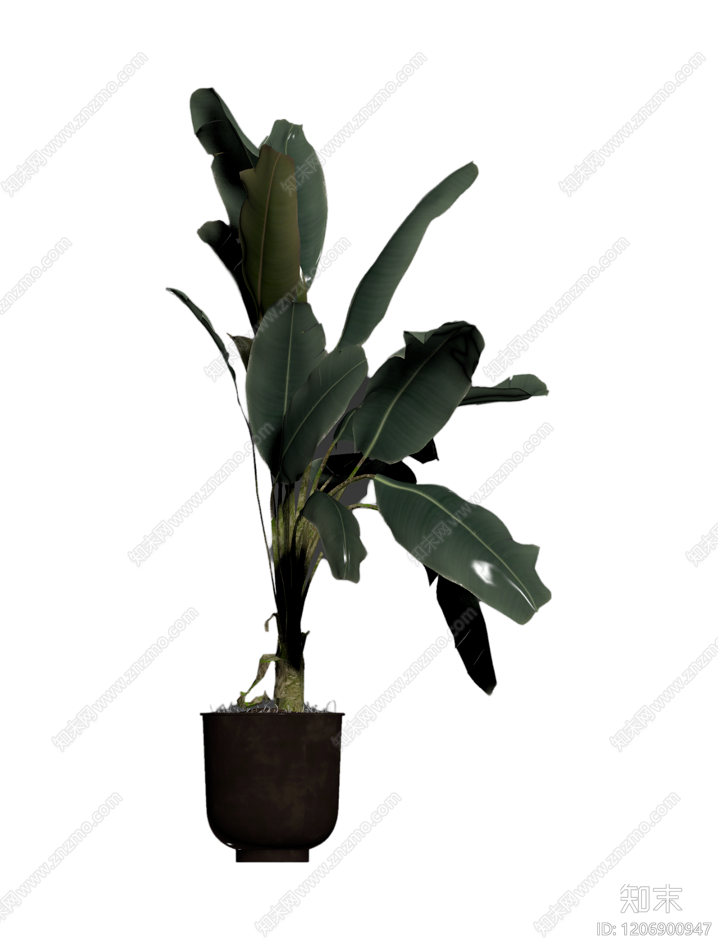 盆栽植物带花盆3D模型下载【ID:1206900947】