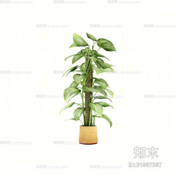 绿色盆栽3D模型下载【ID:31967387】