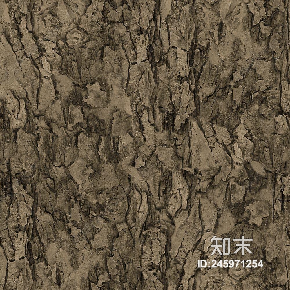 橡木旧木树皮贴图下载【ID:245971254】