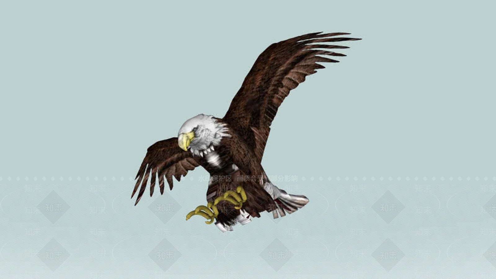 美洲白头鹰SU模型下载【ID:1161710554】