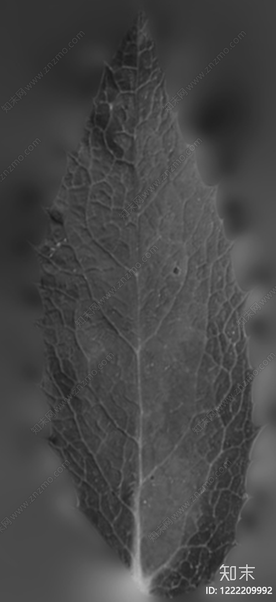 裂纹漆贴图下载【ID:1222209992】