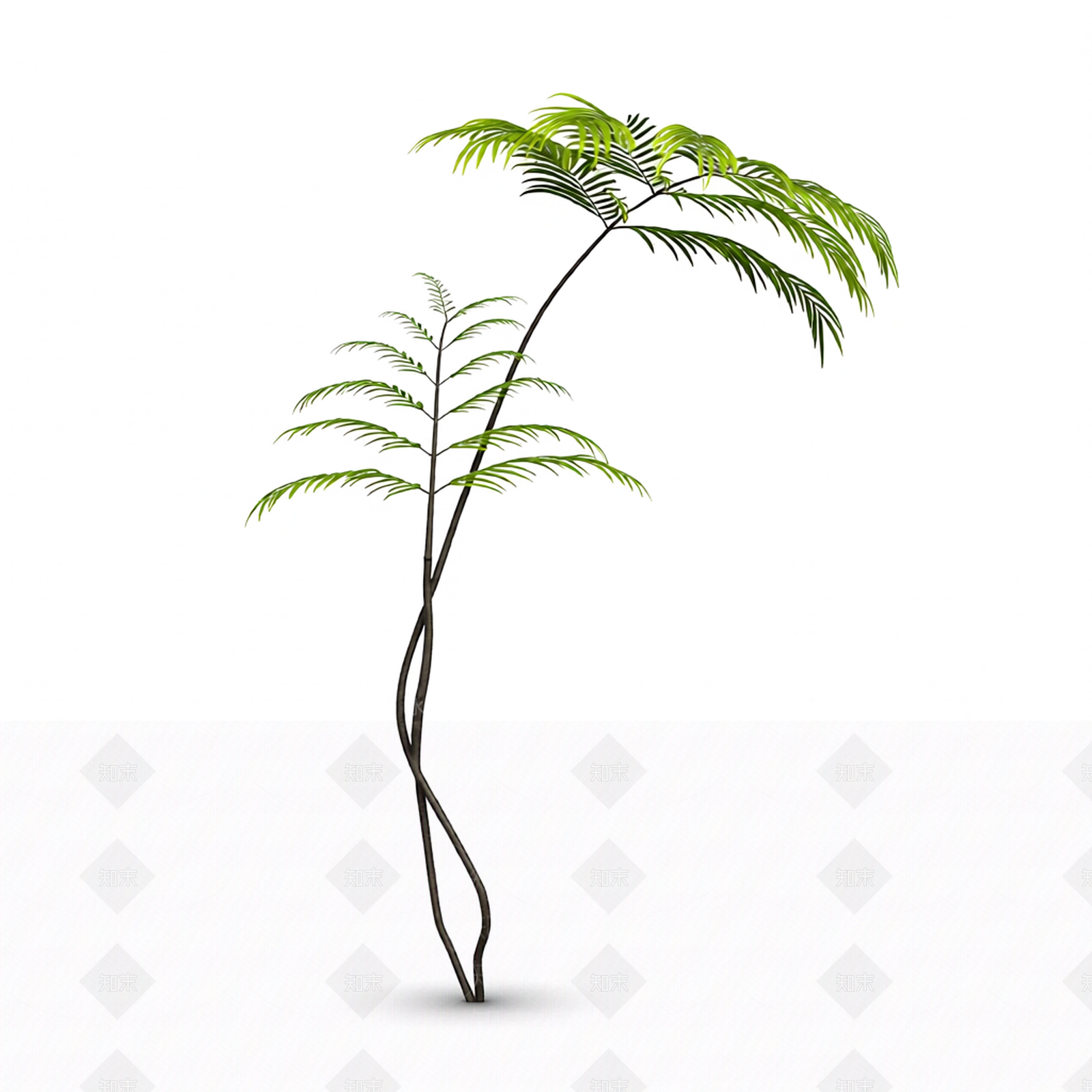 绿色枝叶植物模型3D模型下载【ID:1206184101】