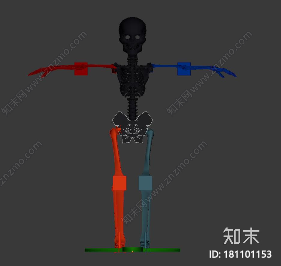 做好动作的骨架CG模型下载【ID:181101153】