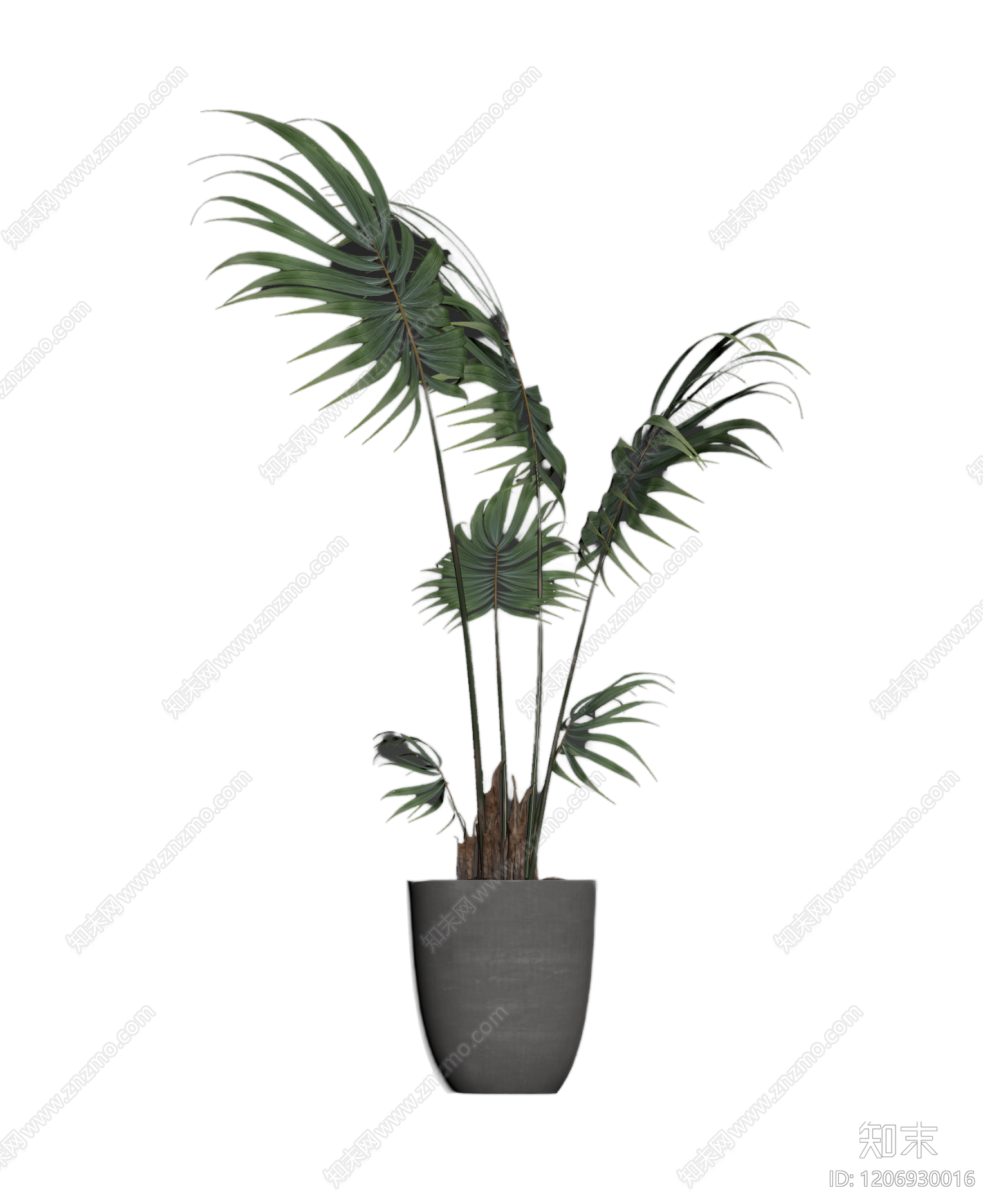 盆栽植物装饰3D模型下载【ID:1206930016】