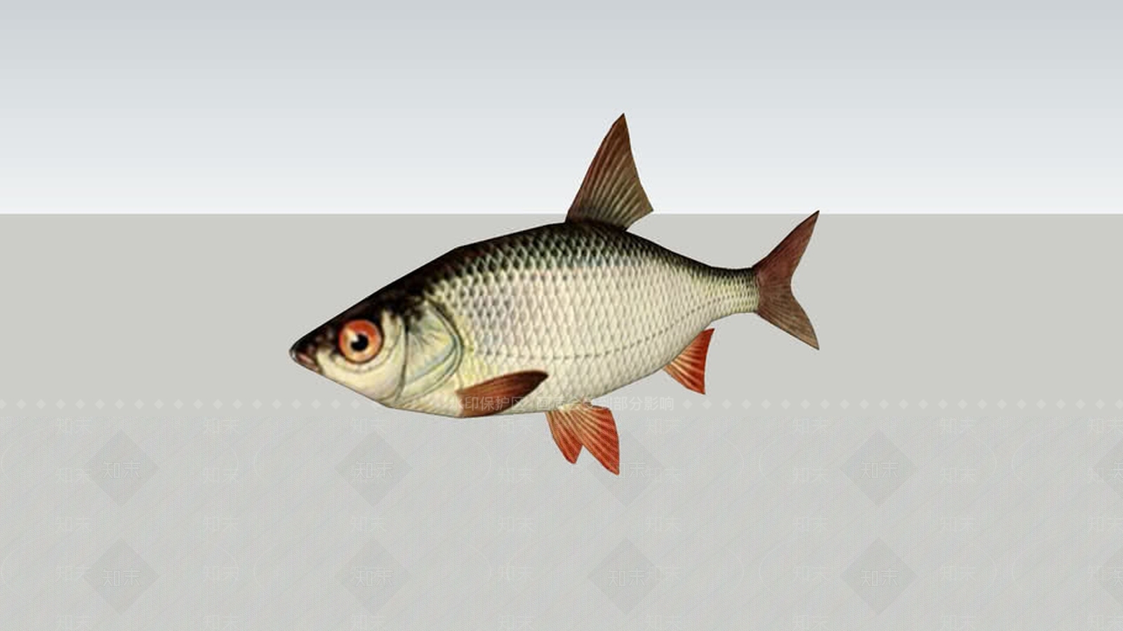 DDDDDDDDDSU模型下载【ID:1161999678】