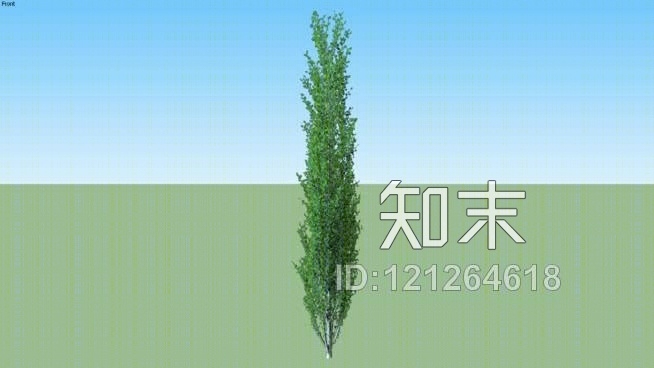 伦巴第杨树黑杨SU模型下载【ID:121264618】
