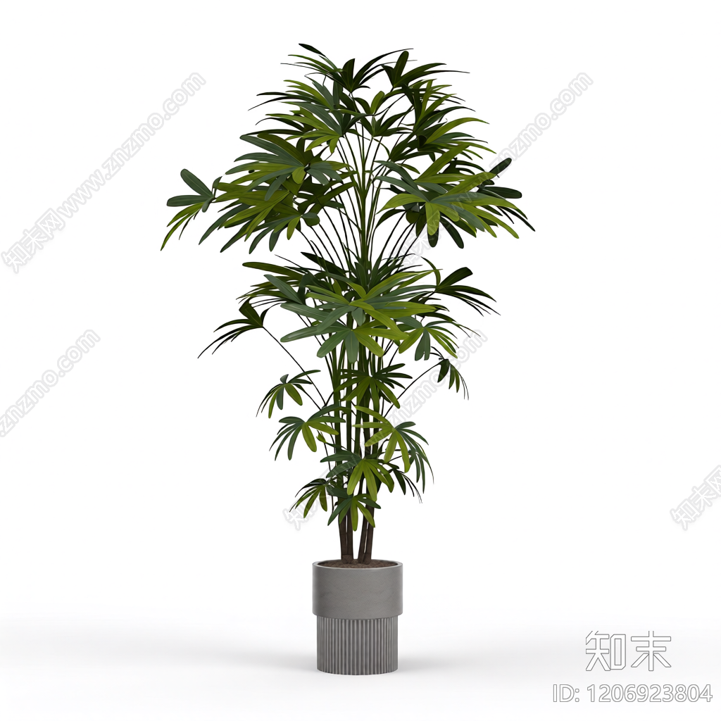 盆栽植物装饰3D模型下载【ID:1206923804】