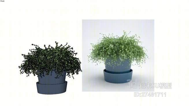 盆栽SU模型下载【ID:118040832】