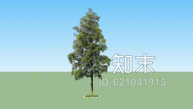 桦树SU模型下载【ID:621041915】