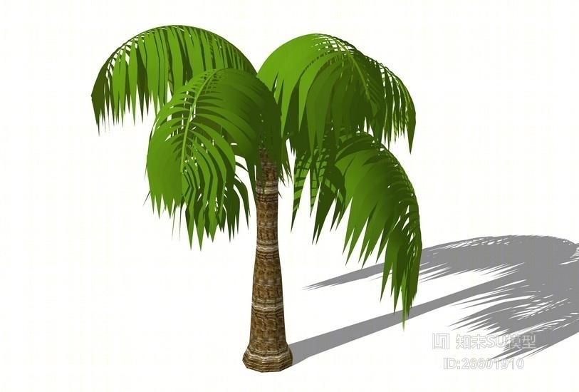 3D棕榈科植物SU模型下载【ID:26601910】