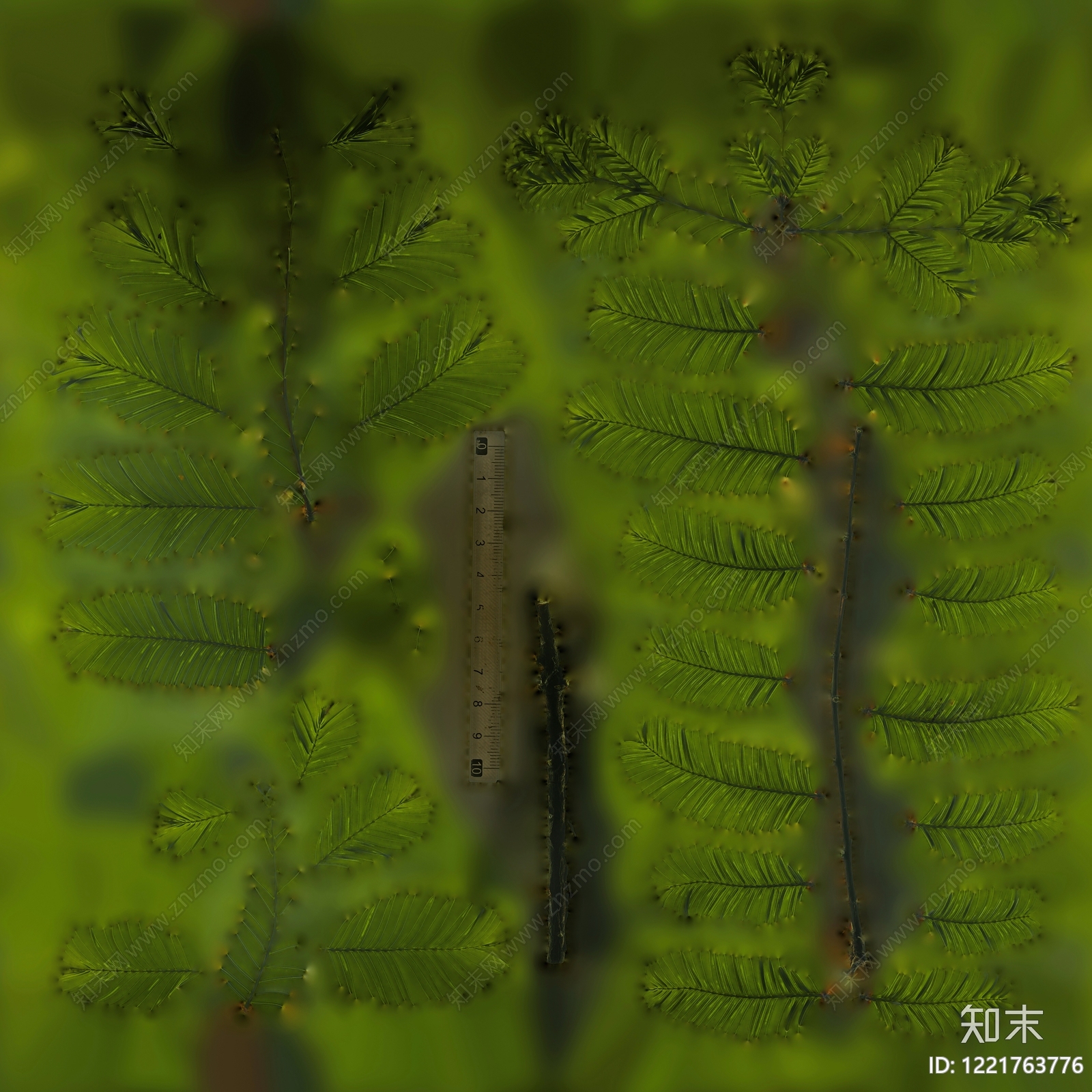 植物壁纸高清贴图材质