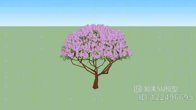 丁香树SU模型下载【ID:122496695】