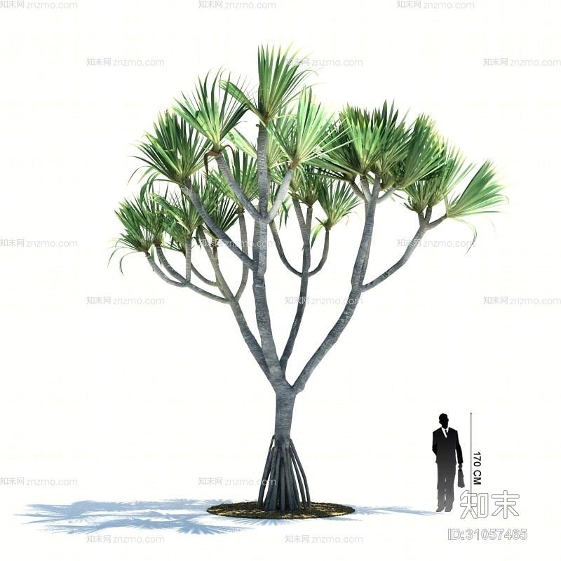 绿色树3D模型下载【ID:31057465】