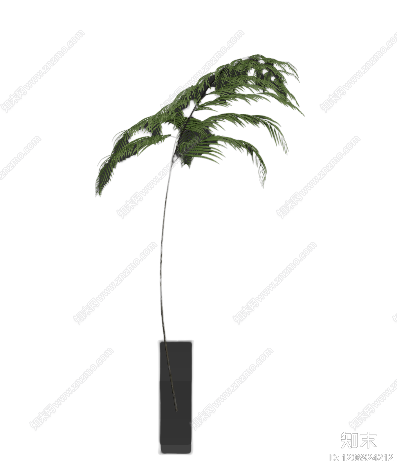 盆栽蕨类植物3D模型下载【ID:1206924212】