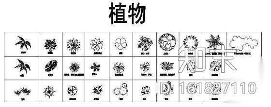 植物cad施工图下载【ID:161827110】