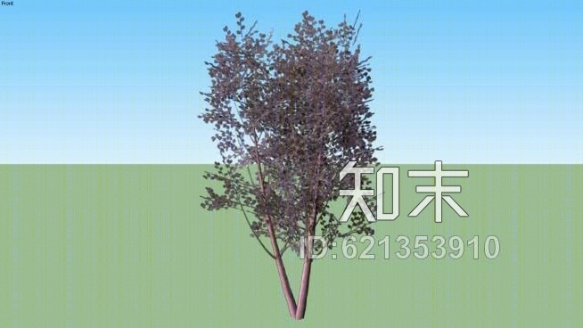 梅花李001SU模型下载【ID:621353910】