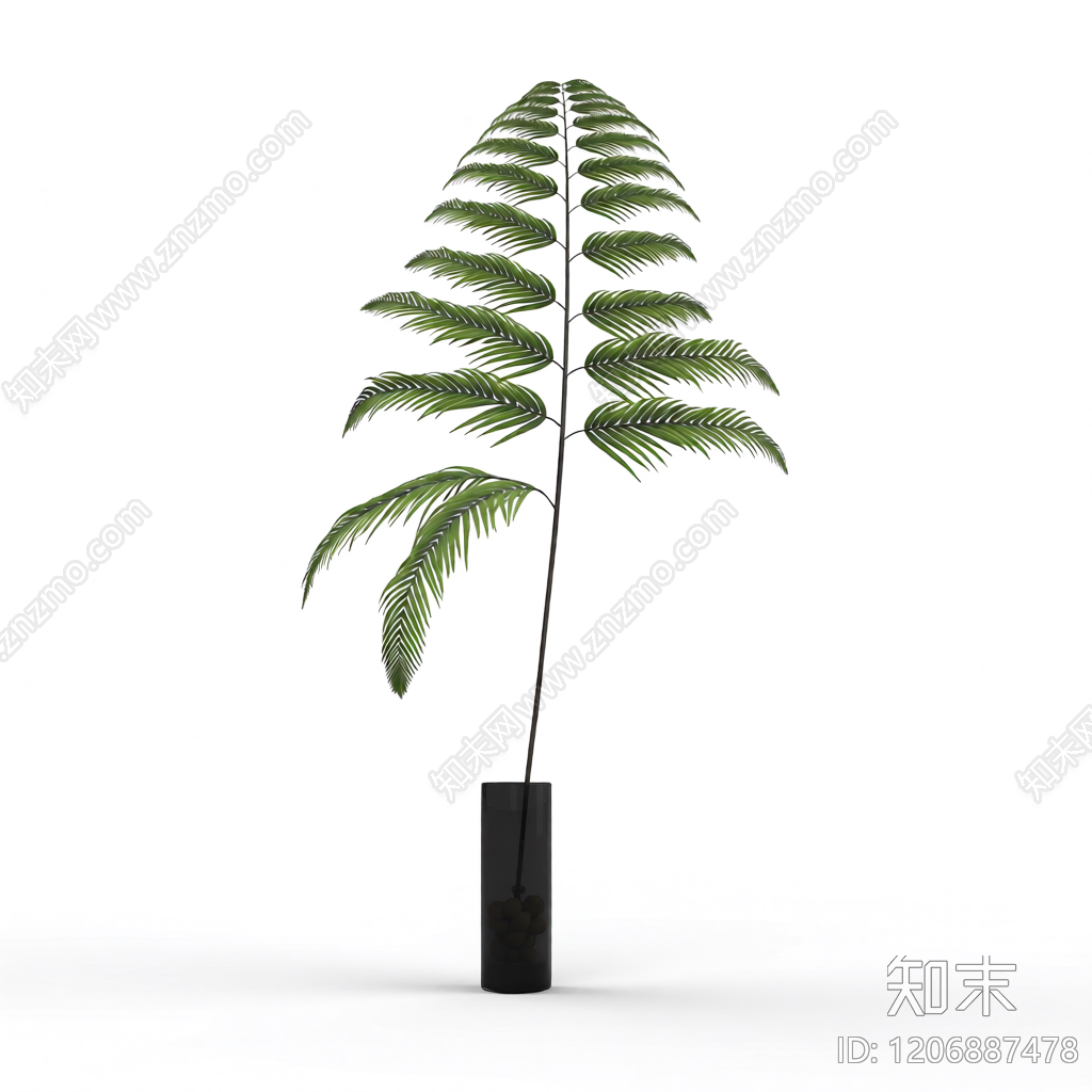 盆栽蕨类植物3D模型下载【ID:1206887478】