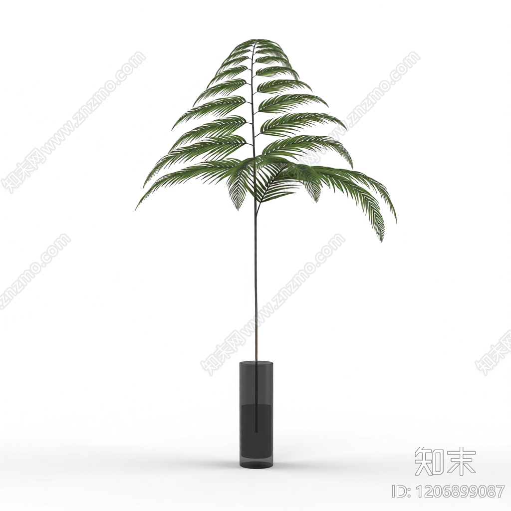 盆栽蕨类植物3D模型下载【ID:1206899087】