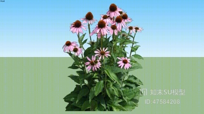 花SU模型下载【ID:119290507】